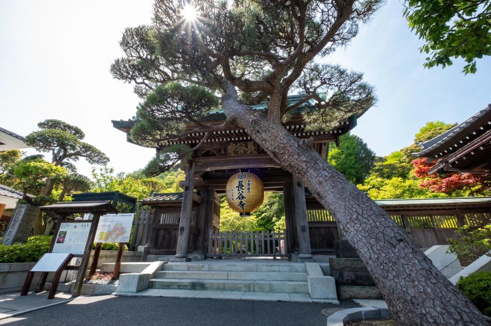 Japanese Modern Inn 鎌倉楽庵ハナレ Kamakura Eksteriør billede